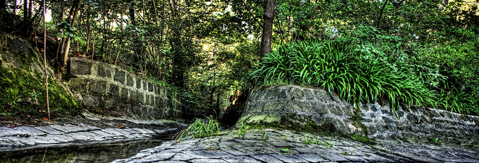 呼死你在线使用